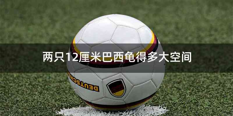 两只12厘米巴西龟得多大空间