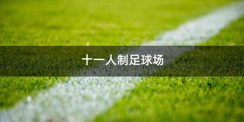 十一人制足球场