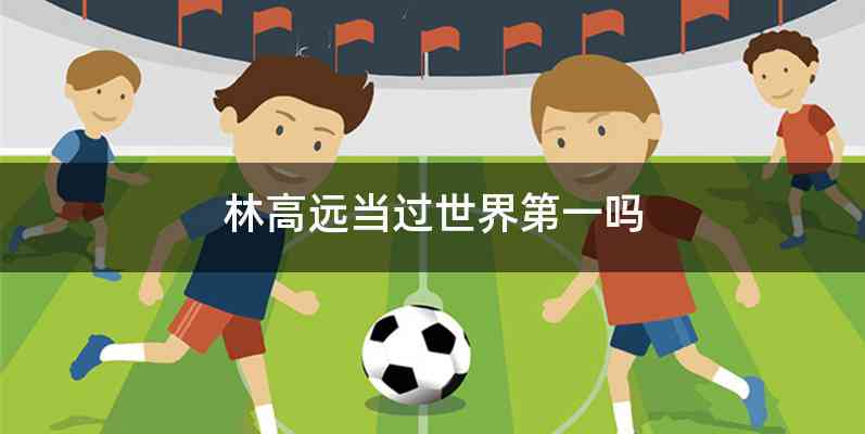 林高远当过世界第一吗