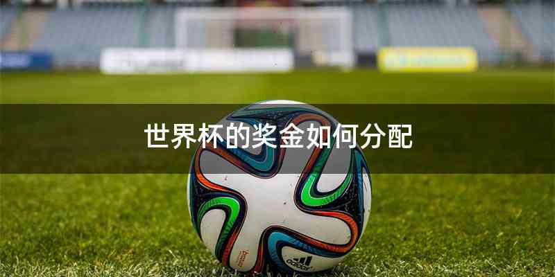 世界杯的奖金如何分配