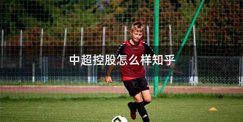 中超控股怎么样知乎
