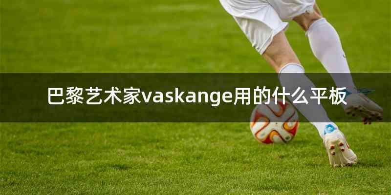 巴黎艺术家vaskange用的什么平板