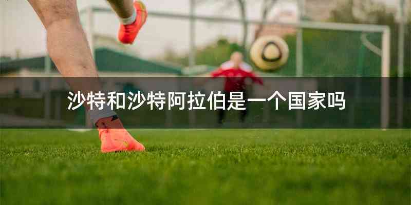 沙特和沙特阿拉伯是一个国家吗