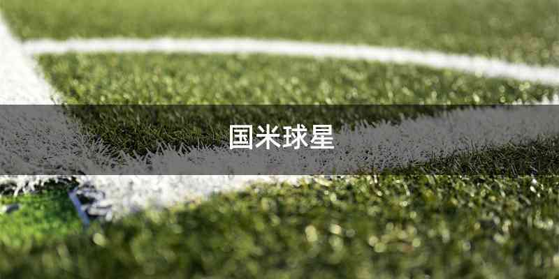 国米球星