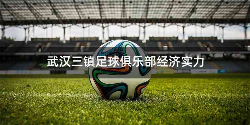 武汉三镇足球俱乐部经济实力