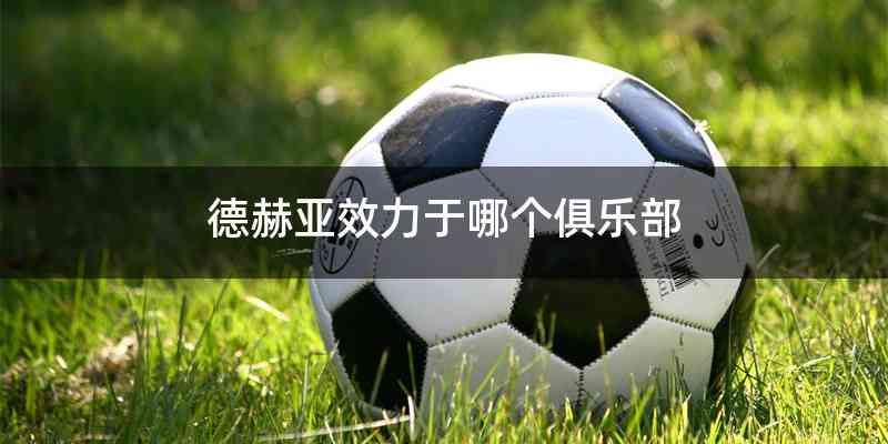 德赫亚效力于哪个俱乐部