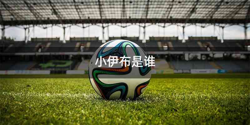 小伊布是谁