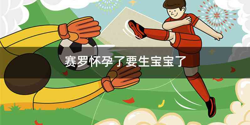 赛罗怀孕了要生宝宝了