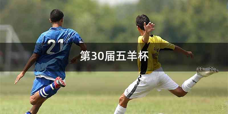 第30届五羊杯