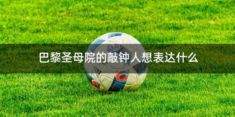 巴黎圣母院的敲钟人想表达什么