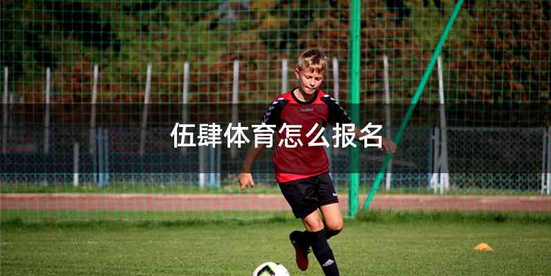 伍肆体育怎么报名