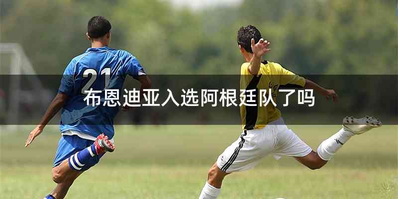 布恩迪亚入选阿根廷队了吗