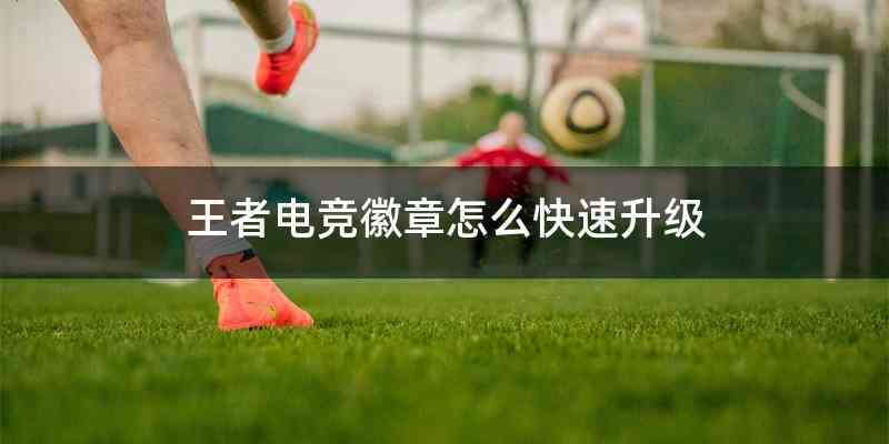 王者电竞徽章怎么快速升级
