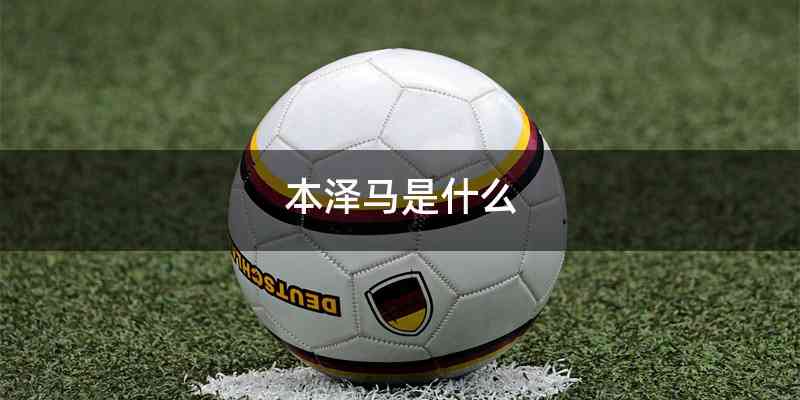 本泽马是什么