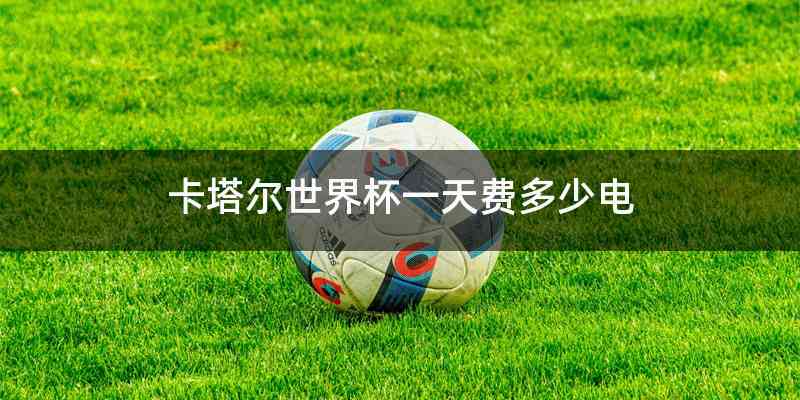 卡塔尔世界杯一天费多少电