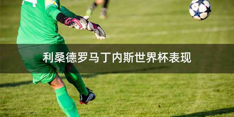 利桑德罗马丁内斯世界杯表现