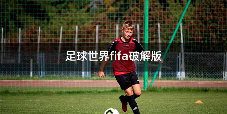 足球世界fifa破解版