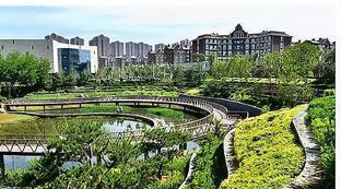沈阳新球场