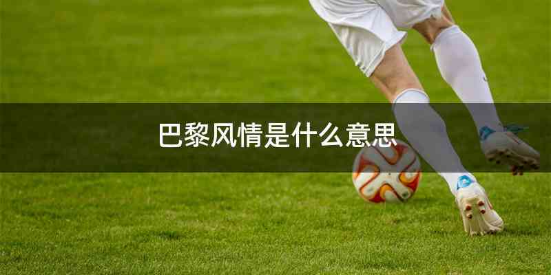 巴黎风情是什么意思