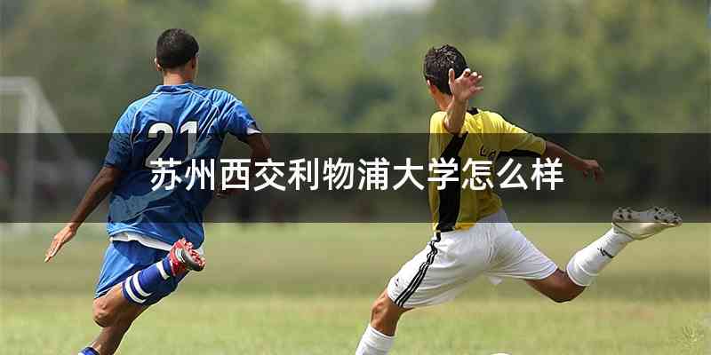 苏州西交利物浦大学怎么样
