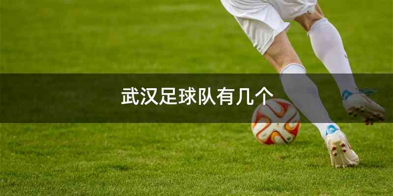 武汉足球队有几个