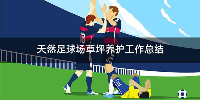 天然足球场草坪养护工作总结