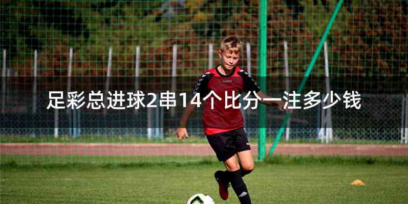 足彩总进球2串14个比分一注多少钱