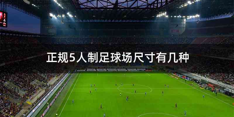 正规5人制足球场尺寸有几种