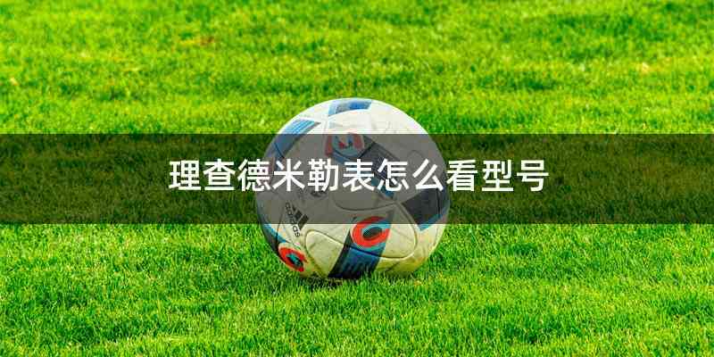 理查德米勒表怎么看型号