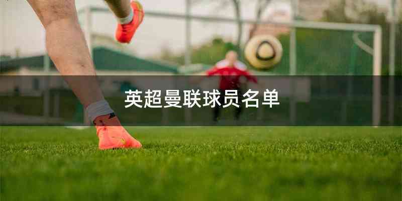 英超曼联球员名单