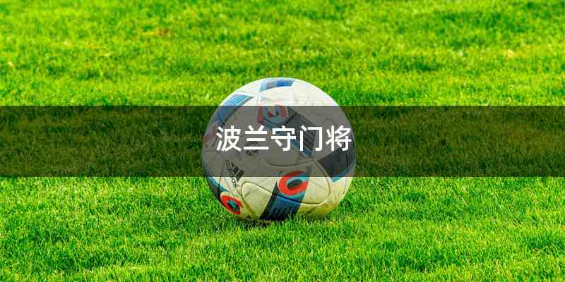 波兰守门将