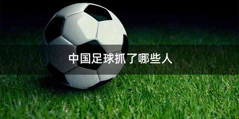 中国足球抓了哪些人