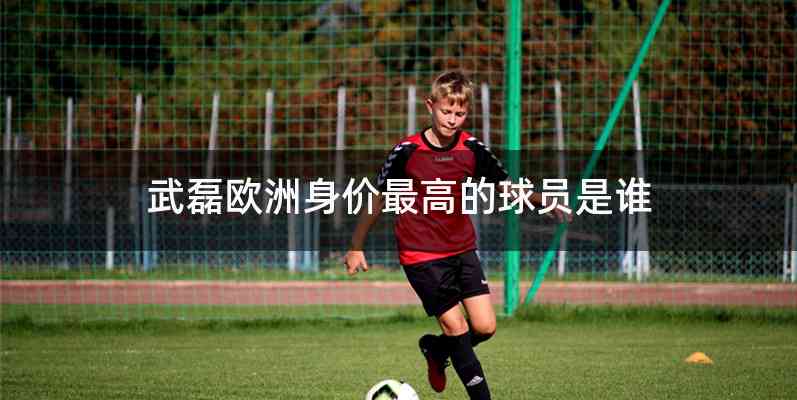 武磊欧洲身价最高的球员是谁