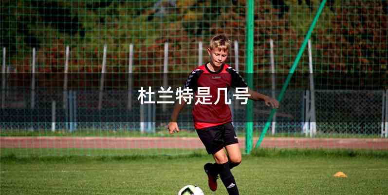 杜兰特是几号