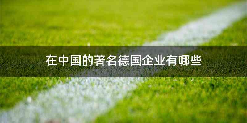 在中国的著名德国企业有哪些