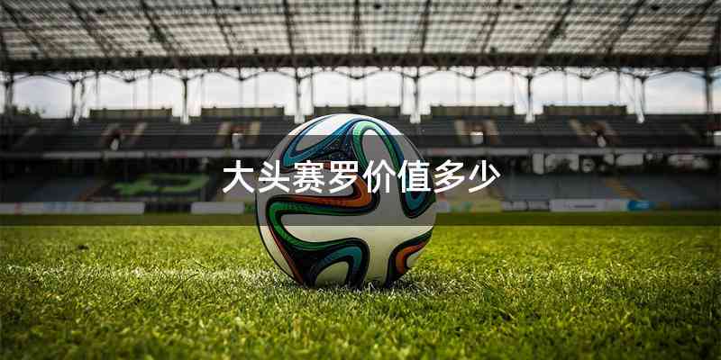 大头赛罗价值多少