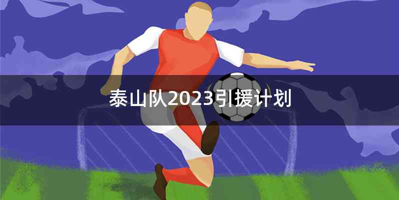 泰山队2023引援计划