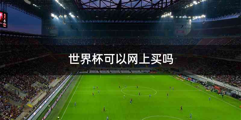 世界杯可以网上买吗