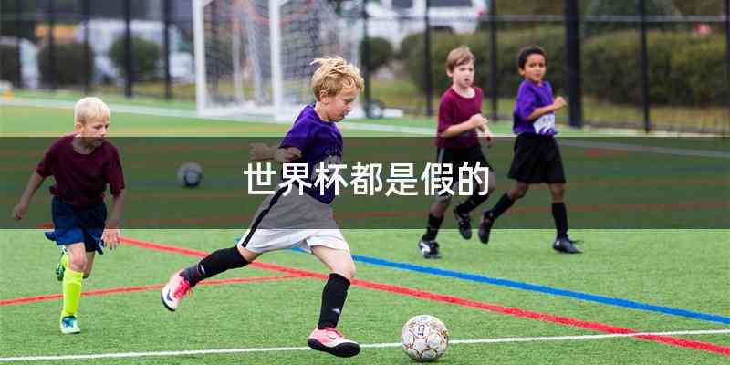 世界杯都是假的