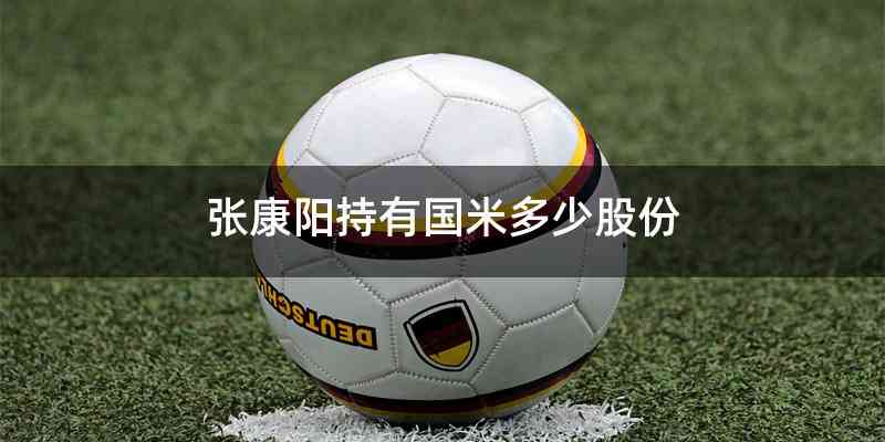 张康阳持有国米多少股份