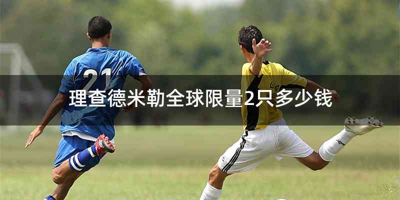 理查德米勒全球限量2只多少钱