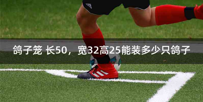 鸽子笼 长50，宽32高25能装多少只鸽子