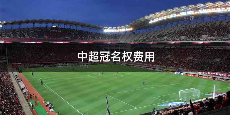 中超冠名权费用