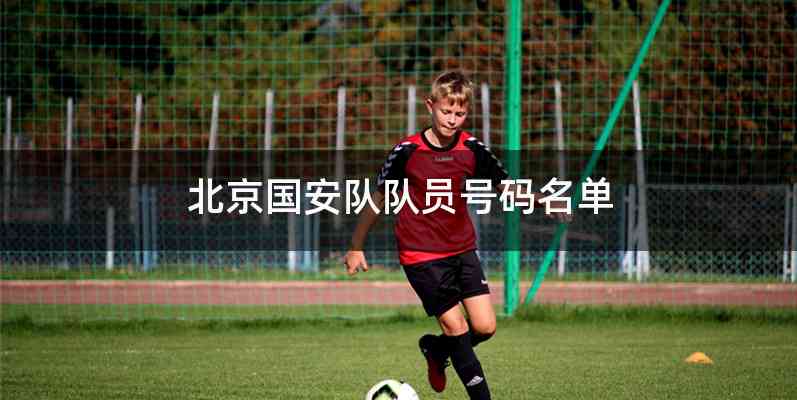 北京国安队队员号码名单