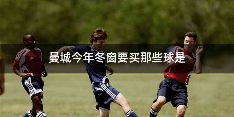 曼城今年冬窗要买那些球是