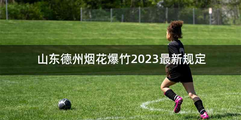 山东德州烟花爆竹2023最新规定