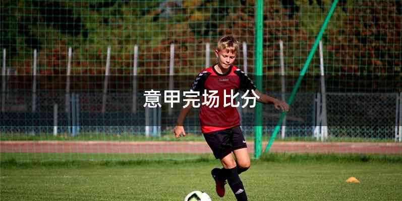 意甲完场比分