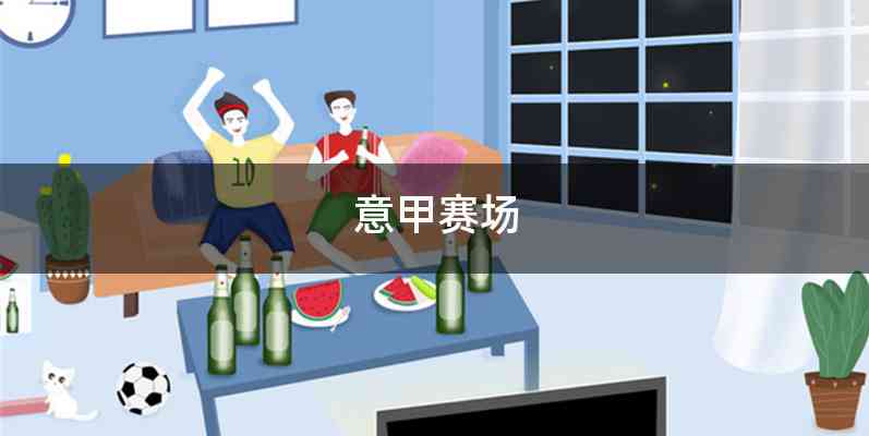 意甲赛场