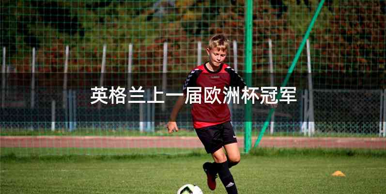 英格兰上一届欧洲杯冠军