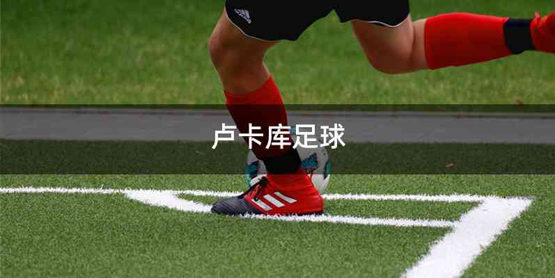 卢卡库足球